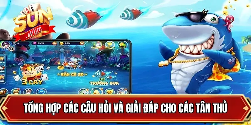 Tổng hợp các câu hỏi và giải đáp cho các tân thủ