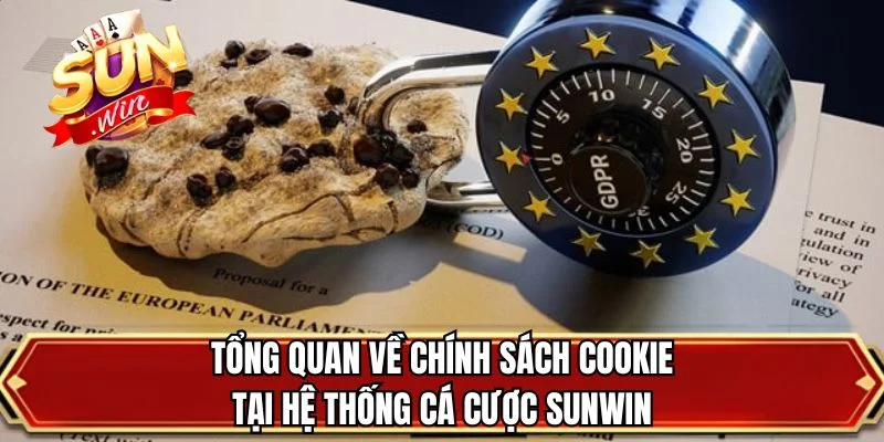 Tổng quan về chính sách cookie tại hệ thống cá cược SUNWIN